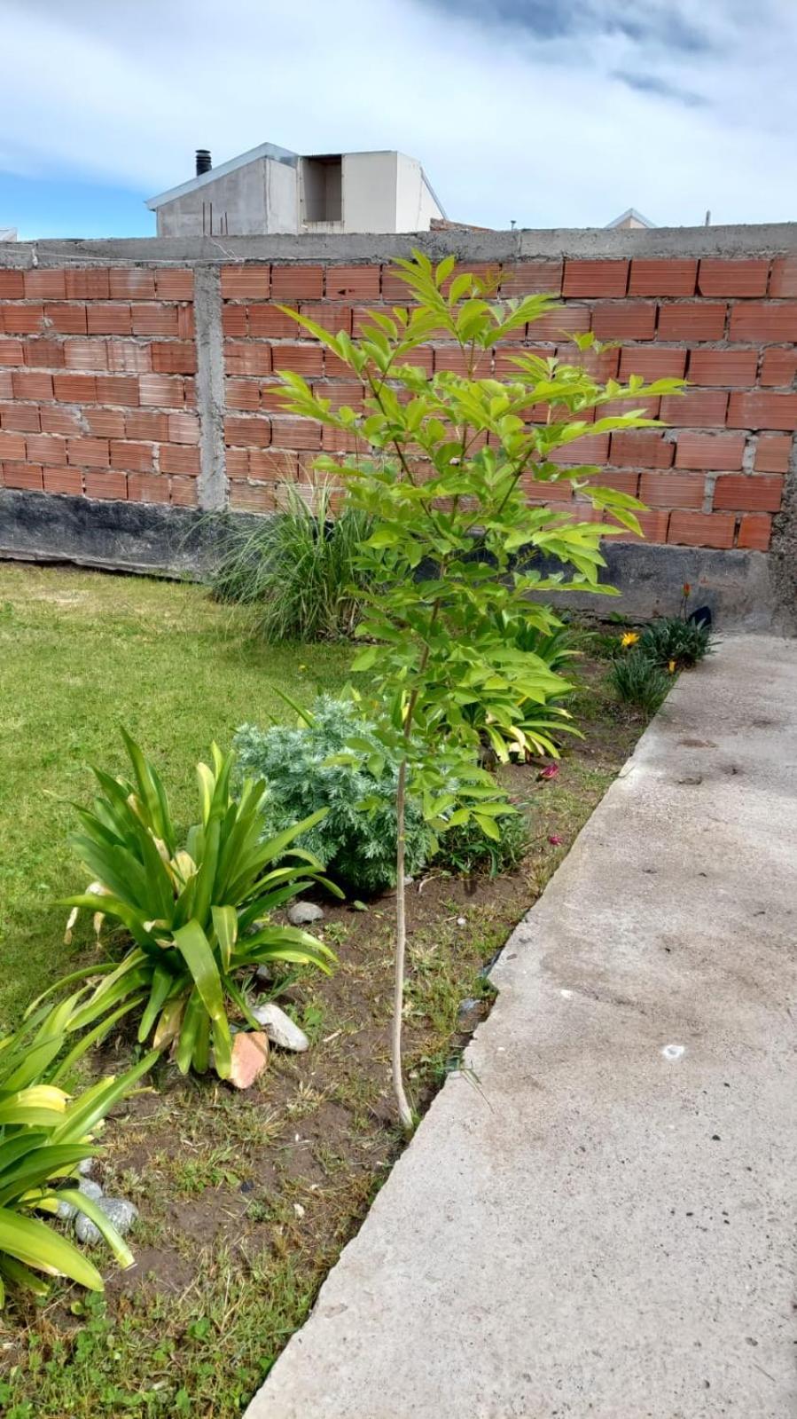Habitacion Privada En La Casa De Thor Трелью Экстерьер фото